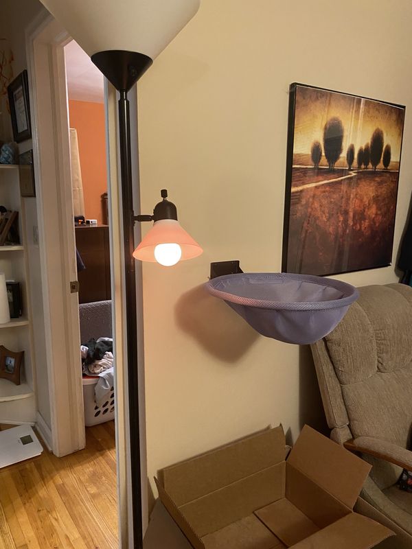 An orange light shining in my living room